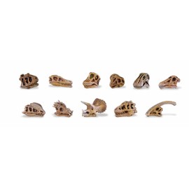 Safari Ltd. Dino Skulls Bulk Bag - Educational Set of Dinosaur Toy Skulls - 48 Piece Set for Boys, Girls & Kids Age 3+