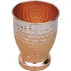 ANCIENTIMPEX Pure Copper Tumbler, (Modern - Hammered) Lacquered-Free, Unlined and