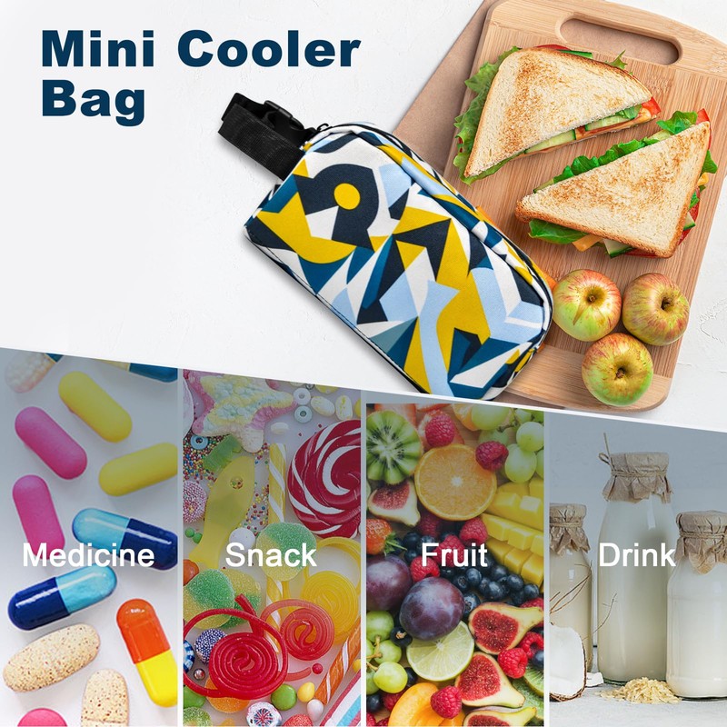 Remobia Hicol Freezable Snack Box with Built-in Ice Packs,Small Insulated