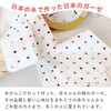 Baby Castle Gauze Handkerchief Set, Tricolor Set, Set of 6,