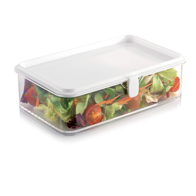 Tescoma Healthy Container for The Refrigerator Purity, Large, Assorted