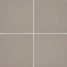 Daltile Quarry Textures 8" x 8" Floor Tile in Abrasive Ashen Gray (25 PC per Carton) (11.11 SQFT per Carton)