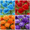 100+ Mixed Colorful Peony Flower Seeds for Planting- Peony Flower