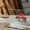 HAIOPS Pressed Rose, 24PCS Natural Rose for Resin Scrapbook Candle