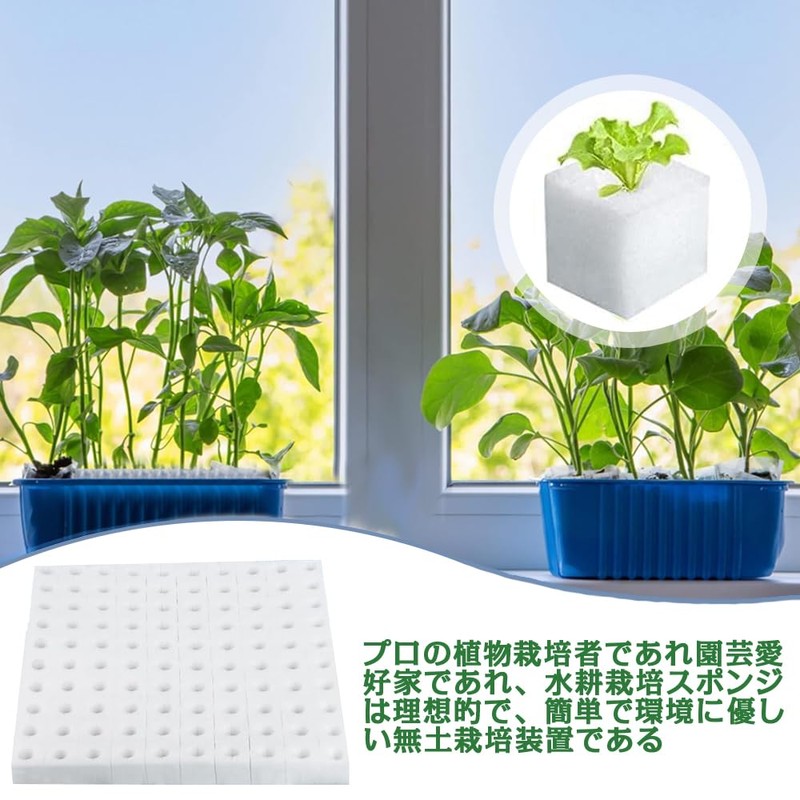 水耕栽培 水耕栽培鉢 水耕栽培スポンジ スポンジ トリミング可能 容器 通気性 野菜植え 便利性 水耕
