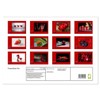 Power Colour Red (Wall Calendar 2025 DIN A2 Landscape), CALVENDO