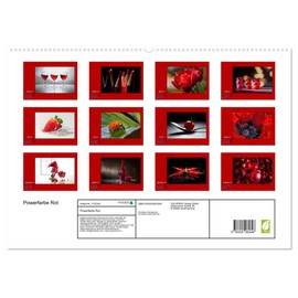 Power Colour Red (Wall Calendar 2025 DIN A2 Landscape), CALVENDO Monthly Calendar