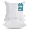 Oubonun 24 x 24 Throw Pillow Inserts, Firm and Fluffy