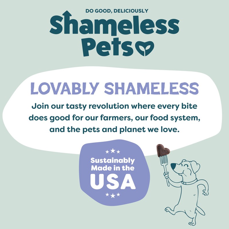 Shameless Pets Soft-Baked Dog Treats, Blueberried Treasure - Natural &
