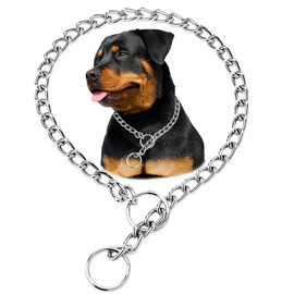 Silver Dog Chain Collar, Heavy Duty Dog Necklace, for Training, Chew Proof Martingale Puppy Dog Chains for XXS XS Small Medium Large Big Dogs