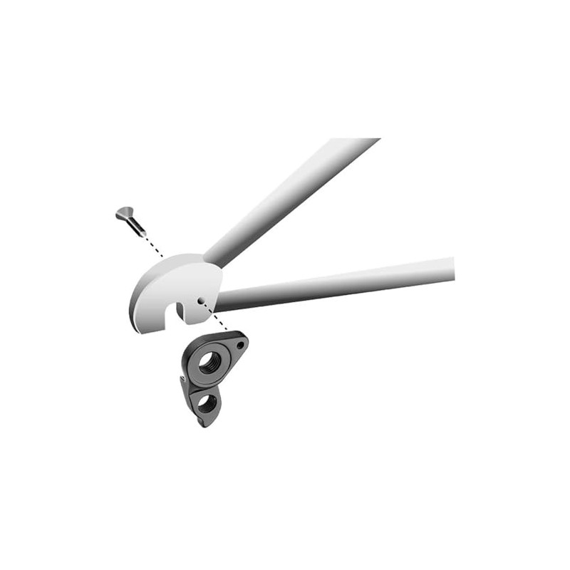 Union Gh-307 Derailleur Hanger One Size