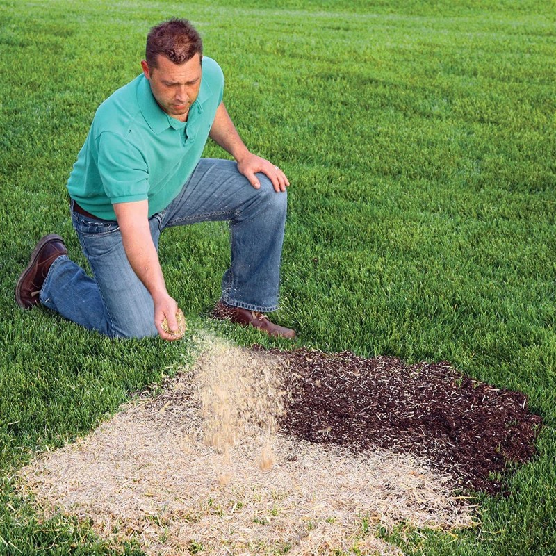 EZ-Straw Seeding Straw Mulch with Tack, 11 lb (Pack of