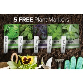 Gardeners Basics, Basil Seeds for Planting Home Garden Herbs - 5 Variety Herb Pack Thai, Lemon, Cinnamon, Sweet and Dark Opal Basil Seeds Herb Seeds for Indoors, Outdoors, Hydroponics & Aquaponic