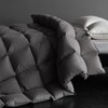 HYVIF Luxury Heavyweight Feathers Down Comforter Twin Size - 750