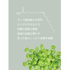 SOA Pure Lens Foam Pump, Body Soap, Additive-Free, Moisturizing, Back