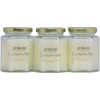 3 Pack - Eucalyptus Mint Scented Candles | Fresh Spearmint