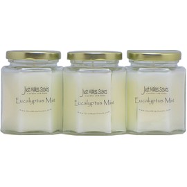 3 Pack - Eucalyptus Mint Scented Candles | Fresh Spearmint and Relaxing Eucalyptus Fragrance | Hand Poured in The USA by Just Makes Scents