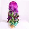 FRCOLOR Peluca Rizada Larga Anime Cosplay Peluca Peluca De Pelo