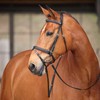 Shires Avignon Louisville Bridle - Black (Cob)