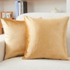GriNeed Throw Pillow Covers Gold Set of 2 20x20 Inch