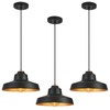ALAISLYC 12 Inch Black Pendant Light Fixture,Farmhouse Hanging Lamp Adjustable