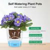 Oliz Self Watering Wall Planters for Indoor Plants with Water