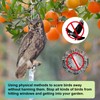 OffiCreative 2 Pack Reflective Fake Owl Decoy, Brown Feathered, Double-Sided