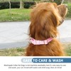 Soft Leather Martingale Dog Collar - Adjustable Rose Gold Limited