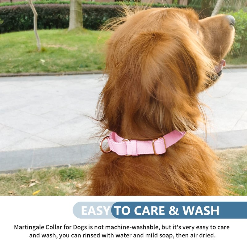 Soft Leather Martingale Dog Collar - Adjustable Rose Gold Limited