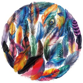 Transparent Feather Stickers 50Pcs Waterproof Colorful Feather Sticker for Helmet Water Bottle Laptop Skateboard Car Bike Luggage,Vinyl Funny Sticker for Adults Girls