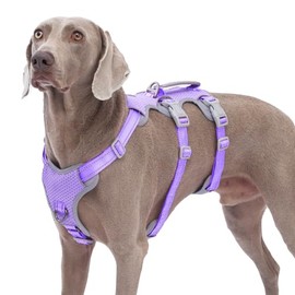 Huntboo Arnés Antiescape Perros, Reflectante sin Tirones con Asa, Chaleco Ajustable con Enganches Delantero y Trasero para Perros Pequeños, Medianos y Grandes (Púrpura Lavanda, Talla L)