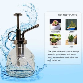 SENLIXIN Plant Mister Flower Water Spray Bottle Can Pot, Vintage Decorative Glass Plant Atomizer Watering Can Pot with Top Pump for Indoor Potted Plants Terrariums Flowers (Clear)
