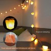 HeaHap Himalayan Salt String Lights with Switch, 20 Natural Salt