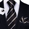 Barry.Wang Corbata clásica de seda para hombre, corbata de regalo