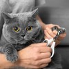Elbourn Cat Nail Clipper, Stainless Steel Cat Claw Trimmers, Professional