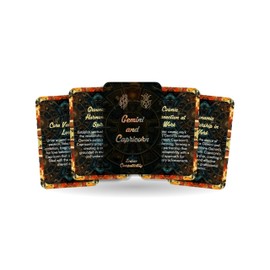 Ibiza Tarot Gemini and Capricorn - Zodiac Compatibility - Divination Tools - Oracle Cards - Star Sign Compatibility - Horoscope Compatibility Cards