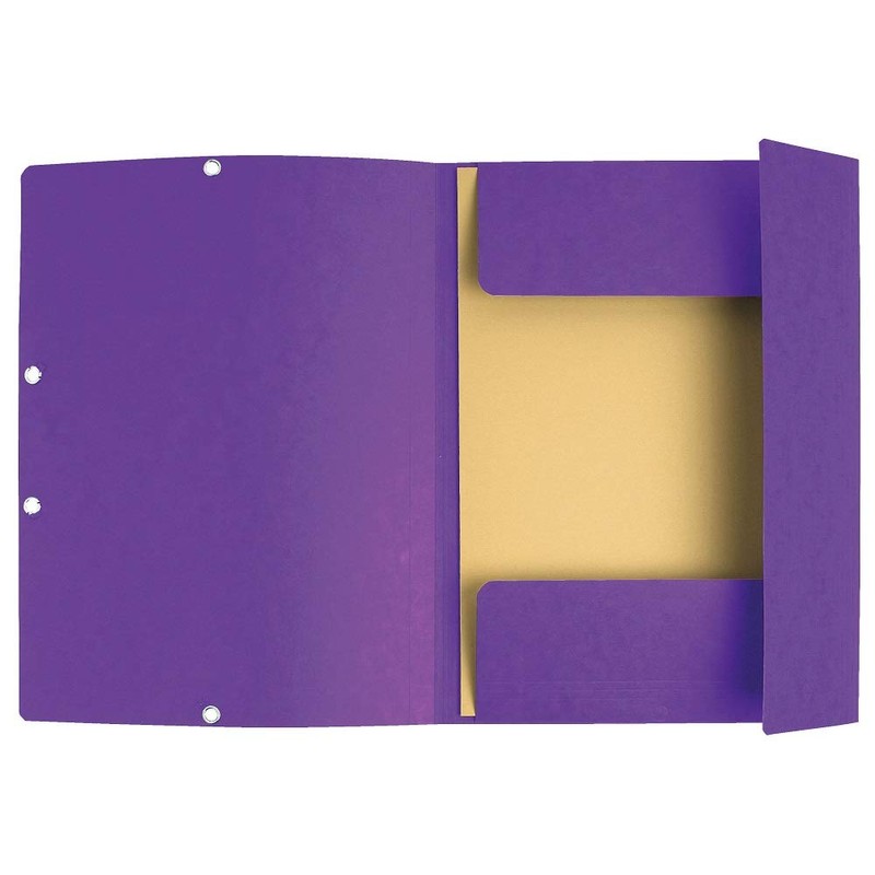Exacompta Colorspan 55408E Elasticated Folder Cardboard 355 g/m² 24 x