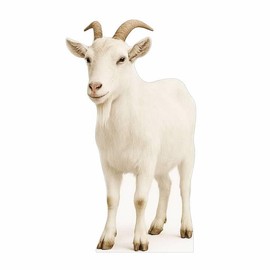 Goat 3FT Life Size Cardboard Cutout – Farm Animal Fun Standup for Photo Booths, Birthday Parties & Events, 1PC