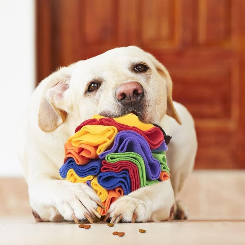‌Snuffle Ball Dog Toy, Mental Stimulation & Anxiety Relief Washable