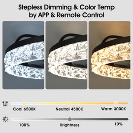 Ceiling Fans with Lights, 20'' Ceiling Fans with Lights and Remote, Low Profile Ceiling Fan with Light, 3 CCT & Dimmable, 6 Fan Speed, Remote&App Control Ceiling Fan for Bedroom, Living Room, Kitchen.