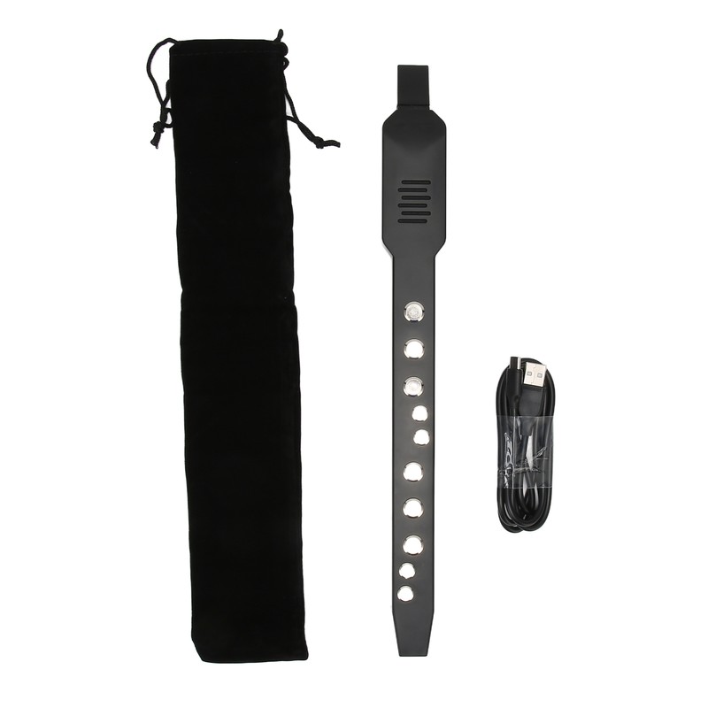 Digital Wind Instrument MIDI Connectivity 10 Tones Rechargeable Mini Electronic