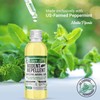 Mighty Mint Peppermint Oil Rodent Repellent Concentrate – Natural Indoor