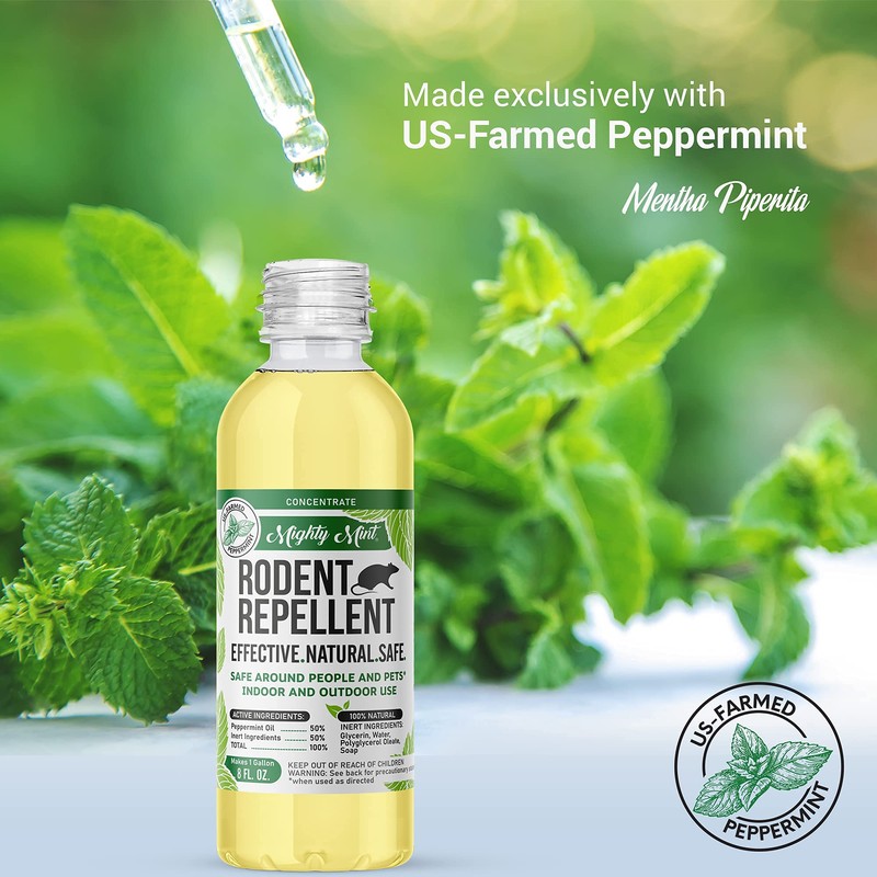 Mighty Mint Peppermint Oil Rodent Repellent Concentrate – Natural Indoor