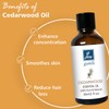 GM GUMILI Cedarwood Essential Oil for Diffuser Holiday Home Care