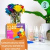 Gift Republic's DIY Rainbow Flowers Kit - Create Your Own