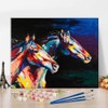 Animals Paint by Numbers Adults, Horse Acrylic Painting by Numbers