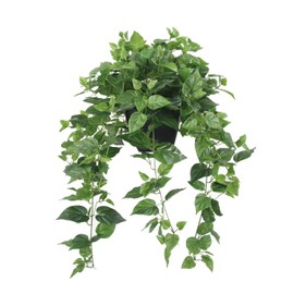 365 Blooming Decor Realistic Artificial Potted Pothos Ivy Plant(Devil's Ivy), Scindapsus Aureus, Premium Fake Plant for Home, Office Decor, 30" H x 22.8" W, //Weather-Resistant//Indoor&Outdoor