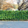 ULAND Artificial Topiary Hedges Panels, Plastic Faux Shrubs Fence Mat,