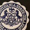 Unbranded PENNSYLVANIA STATE COLLEGE PENN STATE Vintage embroidered iron-on patch