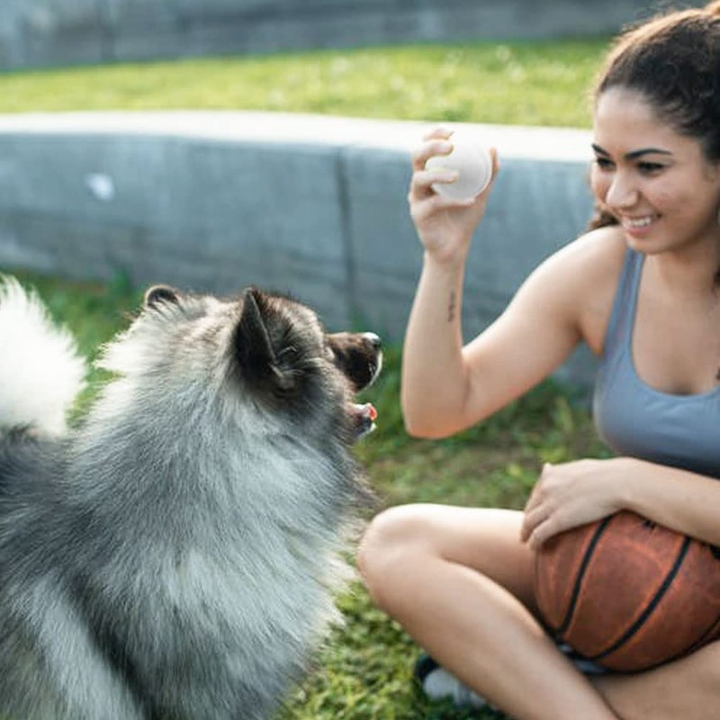 Swity Home Tennis Balls, Training Balls for Lessons, Practice, Playing